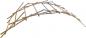 Preview: Impuls_Tools_leonardos_brücke